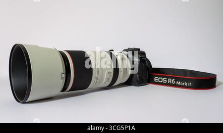 Canon EOS R6 Mark II con RF100-500mm F4.5-7,1 L IS l'obiettivo USM è adatto per una fotocamera professionale full-frame ed è adatto per l'uso nella fauna selvatica e nello sport Foto Stock