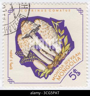 MONGOLIA - 1964 möngö gennaio: 5 francobollo multicolore raffigurante i funghi: Coprinus comatus, il berretto a inchiostro, la parrucca dell'avvocato o la criniera mercantile, è un fungo comune spesso visto crescere sui prati, lungo strade di ghiaia e aree di rifiuti. I giovani corpi di frutta appaiono per la prima volta come cilindri bianchi che emergono dal suolo, quindi si aprono i tappi a campana. I cappucci sono bianchi e ricoperti di scaglie: Questa è l'origine dei nomi comuni del fungo. Le branchie sotto il tappo sono bianche, poi rosa, poi diventano nere e deliquesce (fondono) in un liquido nero riempito di spore (da qui il nome del cappuccio d'inchiostro) Foto Stock