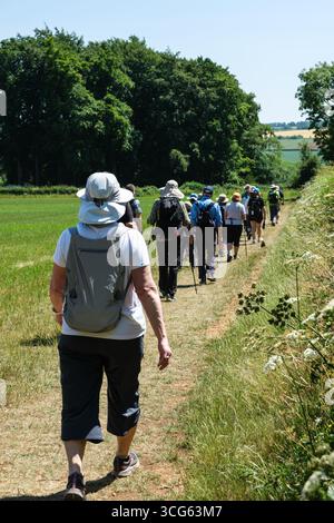 Cotswolds, Inghilterra, Regno Unito escursionisti sul sentiero Cotswold Way Footpath vicino a dover's Hill, Gloucestershire. Foto Stock