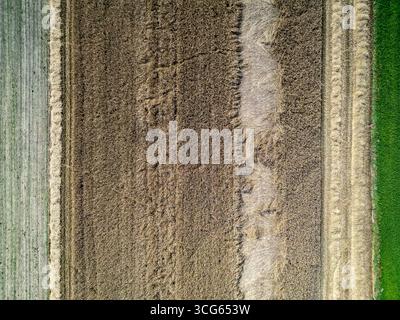 Vista del campo durante la stagione della raccolta nella contea di Wegrow, nella regione di Masovia in Polonia Foto Stock