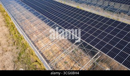 Vista aerea delle moderne serre solari con pannelli fotovoltaici sui tetti, energia rinnovabile e agricoltura sostenibile Foto Stock