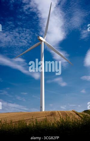 Turbina eolica di campo Foto Stock