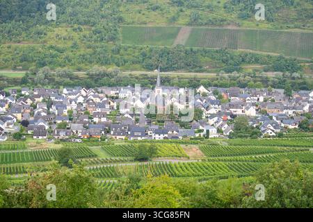 Zeltingen Rachtig Village, Mosella River, Bernkastel District, vista aerea sul paesaggio della valle della Mosella, montagna di vigneti, Renania Palatinato, Germa Foto Stock