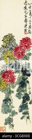Crisanthemums Qi Baishi - scorrimento verticale a colori e inchiostro cinese con calligrafia Foto Stock