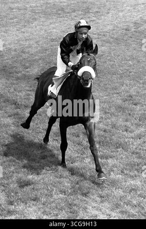 Foto datata 24/07/1971 di Geoff Lewis a bordo di Mill Reef, vincitore del Derby Epsom 1971. Geoff Lewis, cavaliere del grande Mill Reef e in seguito una figura chiave nella scena di allenamento di Epsom, è morto all'età di 89 anni. Data di pubblicazione: Mercoledì 27 agosto 2025. Foto Stock