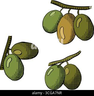 Ramoscello d'ulivo trafilato a mano composizione di ramoscelli d'oliva Illustrazione dell'inchiostro con linee grafiche vettoriali. eleganti elementi botanici per loghi, imballaggi, Illustrazione Vettoriale