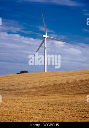 Turbina eolica di campo Foto Stock