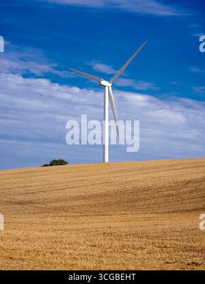 Turbina eolica di campo Foto Stock