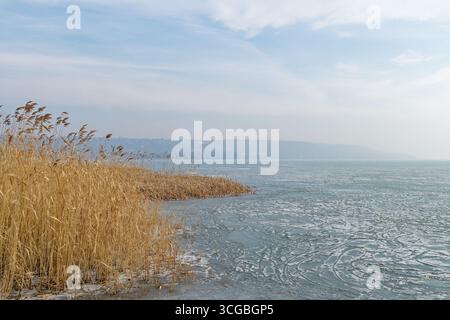 Una serena scena invernale sul Lago Balaton. Il lago è parzialmente congelato, con canne in primo piano. Un paesaggio nebbioso si estende in lontananza. Foto Stock