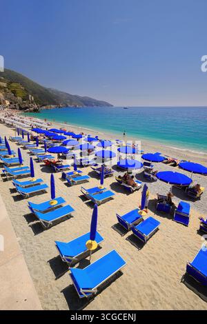 251 lettini e ombrelloni blu, ombrelloni a righe bianco-blu, allineati sulla spiaggia di sabbia e ghiaia. Monterosso al Mare-Liguria. Foto Stock