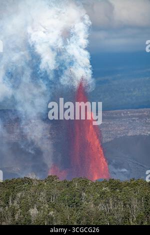 Una fontana di lava calda spara a centinaia di metri dal cratere Halemaumau, sopra la foresta nativa intorno al bordo del cratere, il vulcano Kilauea, Hawaii Foto Stock