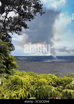 Le felci autoctone false, Dicranopteris linearis e gli alberi endemici ohia lehua, Metrosideros polymorpha, fanno da cornice a un'eruzione a Halemaumau, Hawaii Foto Stock