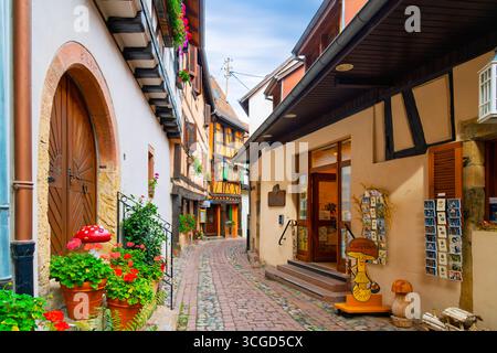 Un pittoresco mercato e gastronomia specializzato in funghi e tartufi in una stretta strada acciottolata, nella medievale Eguisheim, Francia Foto Stock