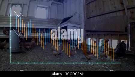 Osservazione delle galline che graffiano e beccano all'interno della coop, con sovrapposizione cartografica dei dati delle scatole di nidificazione dell'alimentatore Foto Stock