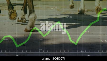 Zoccoli al galoppo che calpestano lo sporco sul circuito di corse all'aperto, con griglia con grafici a linee verdi e ombre Foto Stock