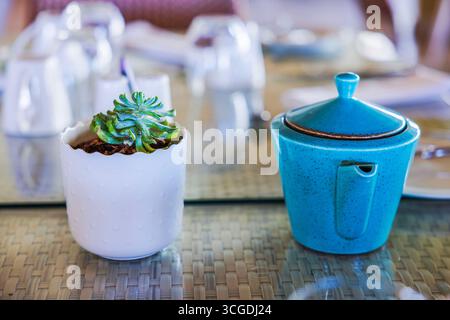 Vista ravvicinata di una piccola pianta succulenta in pentola bianca con teiera in ceramica blu sul tavolo del ristorante nella Repubblica Dominicana. Punta Cana. Foto Stock