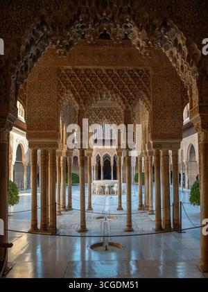 Veduta verticale della Corte dei Leoni dell’Alhambra Foto Stock