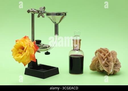Natura morta: Preparare la rosa per l'infusione. Foto con la massima profondità di campo su sfondo verde chiaro. Foto Stock