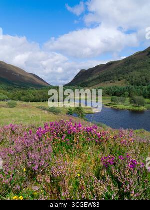 Alladale Wilderness Reserve, Sutherland Foto Stock