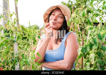 la giovane donna sorridente contadina raccoglie pomodori maturi in un campo soleggiato con cappello di paglia Foto Stock