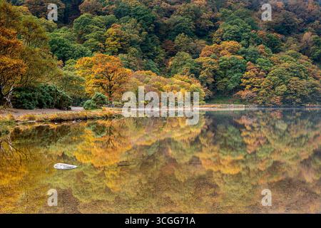Riflessioni autunnali, lago Glendalough, Wicklow Mountains, Repubblica d'Irlanda Foto Stock