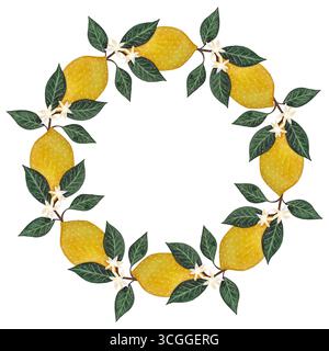 Telaio di ramificazione del limone ad acquerello. Cornice rotonda con limoni, foglie su sfondo bianco. Perfetto per inviti, biglietti o disegni estivi. Dipinto a mano, f Foto Stock