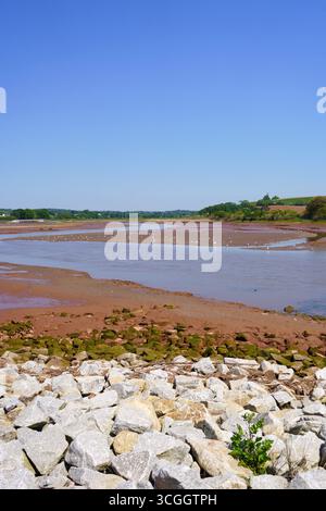 Otter Estuary Nature Reserve, Nr Budleigh Salterton, Devon, Inghilterra, Regno Unito a maggio Foto Stock