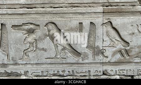 Edfu, Egitto - 9 febbraio 2025: Primo piano di antichi geroglifici egiziani scolpiti in pietra nel Tempio di Horus a Edfu, che mostra falchi e altre figure. Foto Stock
