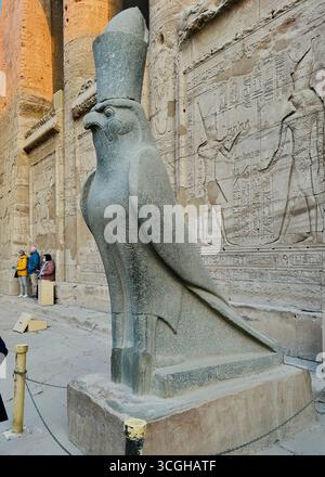 Edfu, Egitto - 9 febbraio 2025: Statua di granito del dio Horus con testa di falco al tempio di Edfu in Egitto, indossando la doppia corona e in piedi davanti Foto Stock