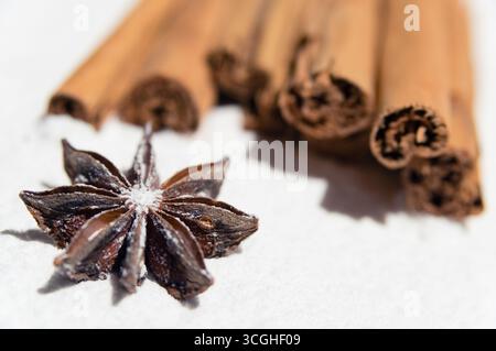 Cannella secca e anice stellato ricoperto di zucchero a velo come neve. Foto Stock