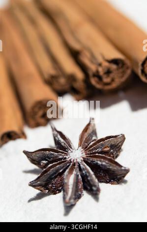 Cannella secca e anice stellato ricoperto di zucchero a velo come neve. Foto Stock