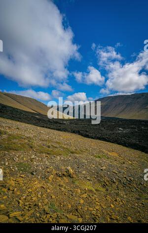 Gli altopiani islandesi d'oro incontrano colate laviche scure sotto un cielo blu brillante, mostrando il crudo contrasto tra le forze vulcaniche e la natura incontaminata Foto Stock