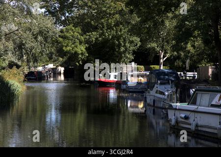 Barche strette e cabine Cruisers Sheering Mill Lock River Stort Essex Foto Stock