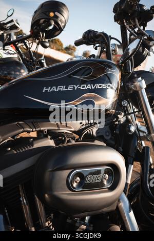 Serbatoio del carburante di una Harley-Davidson Sportster 883, con vernice nera personalizzata e fiamme argentate, evidenziato sopra il motore V-Twin raffreddato ad aria. Foto Stock