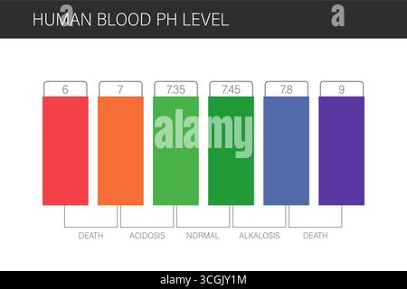 Scala del pH ematico. Intervallo normale del livello di ph nel sangue umano. Analisi del pH o test medico. Illustrazione vettoriale in stile piatto Illustrazione Vettoriale