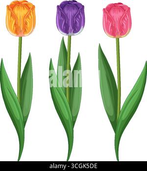 Vivace illustrazione vettoriale di tre tulipani dettagliati in arancione, viola e rosa con foglie lussureggianti. Illustrazione Vettoriale
