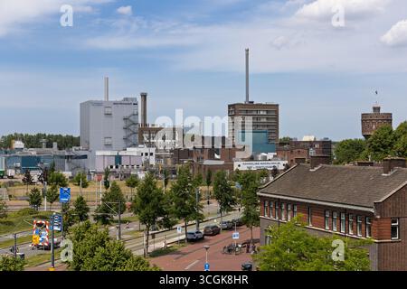 Un grande complesso industriale a Delft caratterizzato da una moderna struttura DSM-Firmenich e altri edifici industriali sotto un cielo nuvoloso, che rappresentano l'indu globale Foto Stock