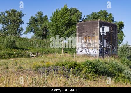 Un vecchio bunker di cemento a Nijmegen, coperto di graffiti, si trova tra erba alta e alberi in una giornata di sole, suggerendo la storia e il decadimento urbano. Nijmegen, Foto Stock