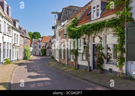 Un'affascinante e tortuosa strada acciottolata ad Amersfoort, fiancheggiata da tradizionali case olandesi, alcune adornate con lussureggiante edera verde, sotto un cielo azzurro. Foto Stock