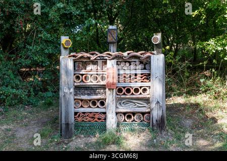 Un bug hotel con una varietà di habitat diversi al Pensthorpe Natural Park nel Norfolk. Foto Stock