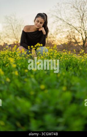 Donna accovacciata in un campo di fiori gialli godendosi il tramonto Foto Stock