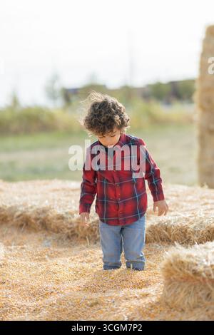 Bambino in camicia a quadri rossa in piedi nella fossa di mais presso la toppa di zucca dello Utah Foto Stock