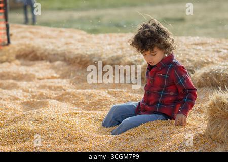 Bambino in camicia a quadri rossa seduto nella fossa di mais presso la toppa di zucca dello Utah Foto Stock