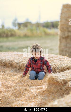 Bambino in camicia a quadri rossa seduto nella fossa di mais al topo di zucca Foto Stock