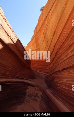 Una splendida vista di un canyon di arenaria con formazioni rocciose a strati. Foto Stock