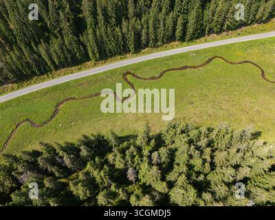 Vista aerea di un torrente serpeggiante che attraversa un vivace prato verde, delimitato da una strada e da una fitta foresta, Sihla, regione di Banská Bystrica, Slovaki Foto Stock