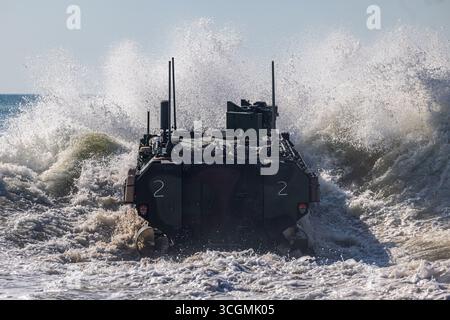 I Marines degli Stati Uniti con il 2nd Assault Amphibious Battalion, la 2nd Marine Division lanciano un veicolo da combattimento anfibio durante l'addestramento Operator New Equipment On Foto Stock