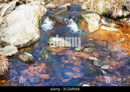Un ruscello poco profondo scorre su pietre coperte di muschio, formando una piccola cascata naturale. L'acqua limpida rivela texture colorate nel letto del fiume e nel crea Foto Stock