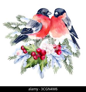 acquerello albero di Natale sulla neve, rami agrillati, bacche rosse, due piccioni, bozzetto disegnato a mano di rami di abete verde con le stagioni che volano Foto Stock