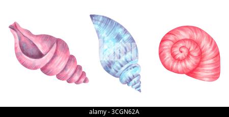 Clip art di diversi tipi di conchiglie. Illustrazioni ad acquerello di animali subacquei. Disegno isolato disegnato a mano. Atmosfera tropicale dell'oceano per marin Foto Stock